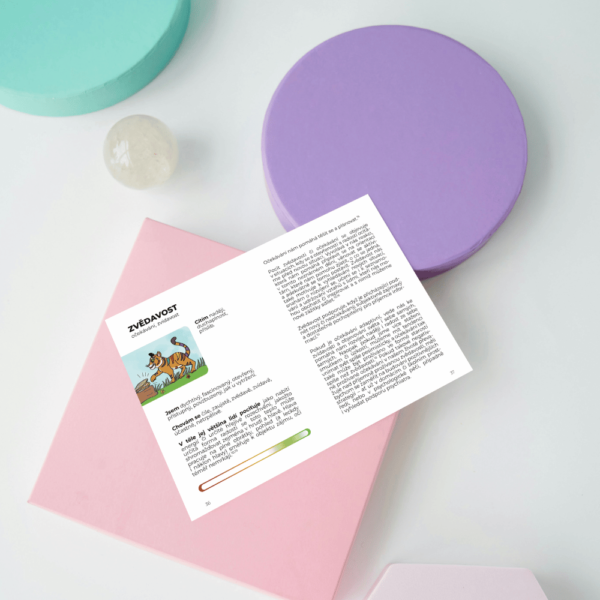 Džungle emocí – Odolné karty emocí pro děti, rodiče, pedagogy a psychology - Image 5